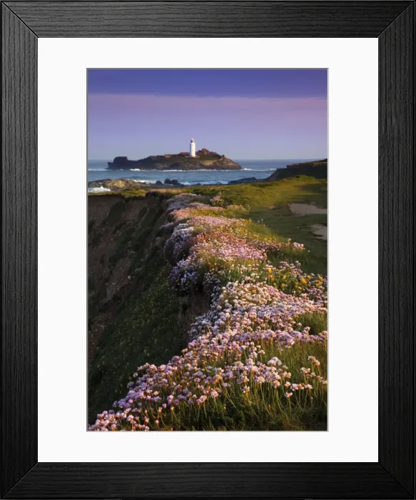 Framed Print : Godrevy - thrift in flower - Cornwall - UK Framed Print : Godrevy - thrift in flower - Cornwall - UK