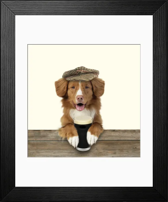 Framed Print : Dog - Nova Scotia Duck Tolling Retriever - wearing a cap and holding a pint of Stout. Digital Manipulation: Fence, Dog & hat JD - Hat & pint Su - added background colour Framed Print : Dog - Nova Scotia Duck Tolling Retriever - wearing a cap and holding a pint of Stout. Digital Manipulation: Fence, Dog & hat JD - Hat & pint Su - added background colour