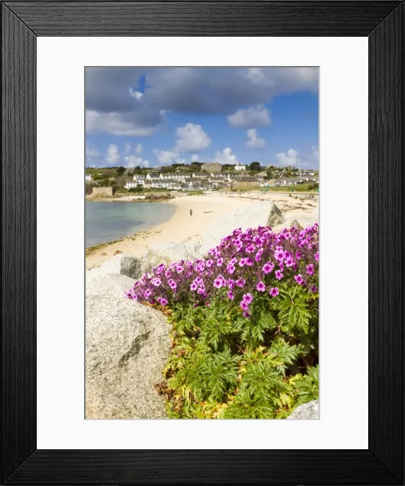 Framed Print : St Mary's - Porth Cressa - Isles of Scilly - UK Framed Print : St Mary's - Porth Cressa - Isles of Scilly - UK