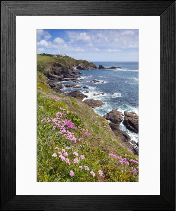 Framed Print : Lizard Point - with Thrift in foreground - Cornwall, UK Framed Print : Lizard Point - with Thrift in foreground - Cornwall, UK