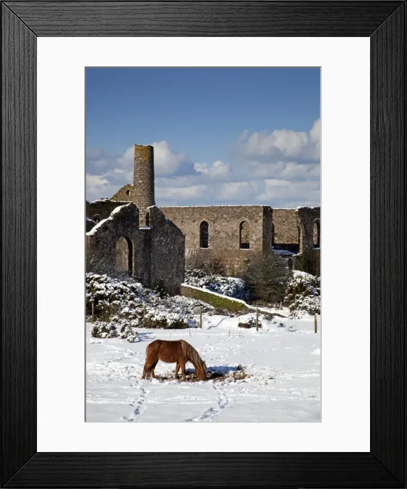 Framed Print : Wheal Francis - ruined former mine works - with horse in snow - Cornwall - UK Framed Print : Wheal Francis - ruined former mine works - with horse in snow - Cornwall - UK