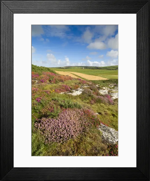 Framed Print : Boscastle - Forrabury Stitches - summer - Cornwall, UK Framed Print : Boscastle - Forrabury Stitches - summer - Cornwall, UK