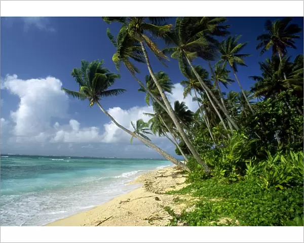 Fiji - one of the best shelling beaches in the world - Lavena Beach - Taveuni Island