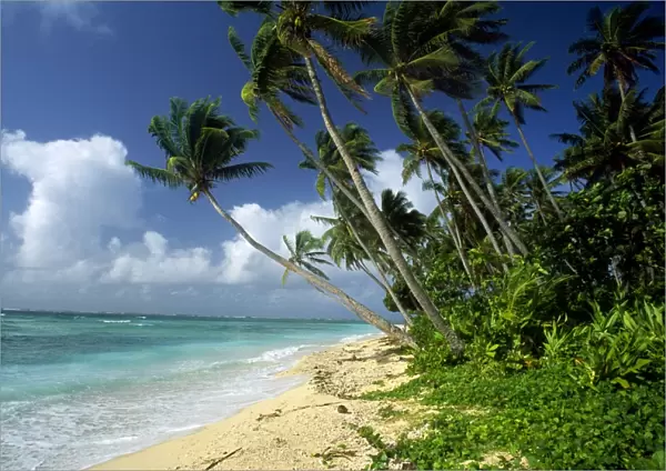 Fiji - one of the best shelling beaches in the world - Lavena Beach - Taveuni Island