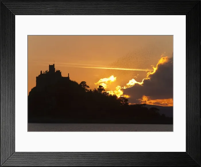 Framed Print : Starlings - going to roost - St Michael's Mount - Cornwall - UK Framed Print : Starlings - going to roost - St Michael's Mount - Cornwall - UK