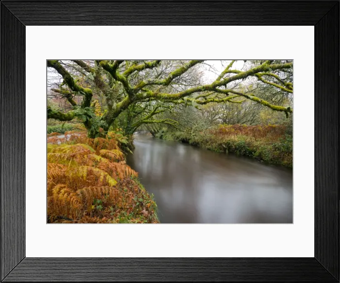 Framed Print : River Fowey - Cornwall - UK Framed Print : River Fowey - Cornwall - UK