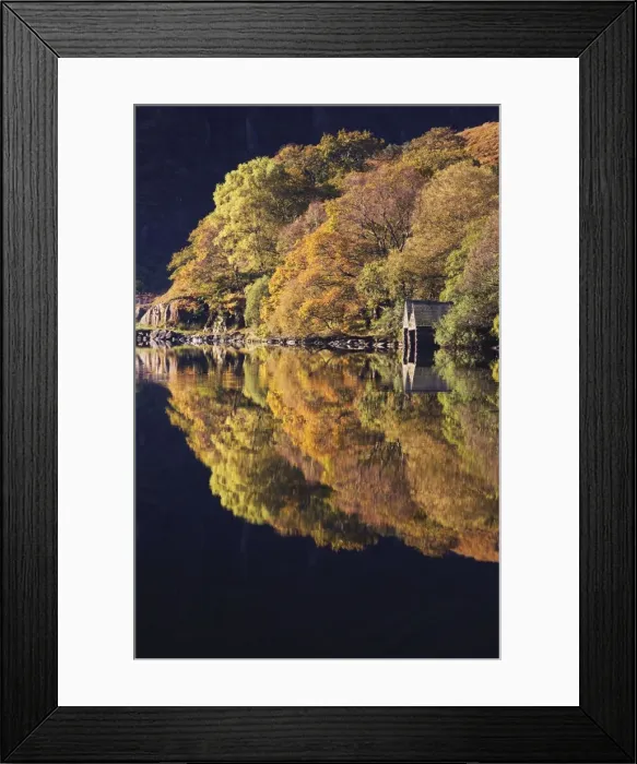 Framed Print : Autumn colours and Boat houses reflections in Llyn Dinas - October - Snowdonia - North Wales Framed Print : Autumn colours and Boat houses reflections in Llyn Dinas - October - Snowdonia - North Wales