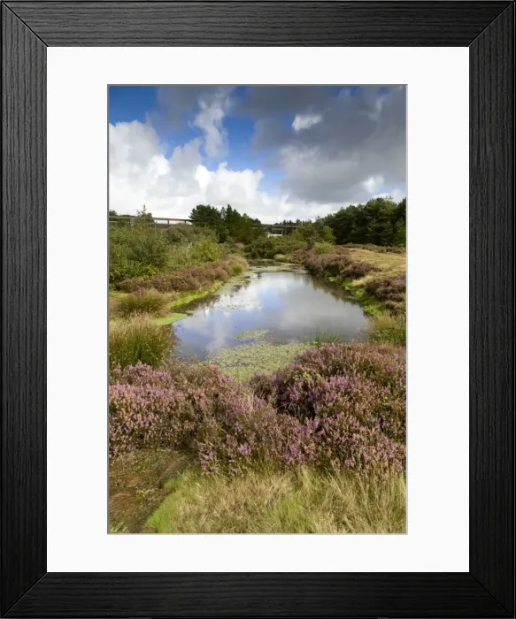 Framed Print : Bissoe Valley - former Mining area - Cornwall, UK Framed Print : Bissoe Valley - former Mining area - Cornwall, UK