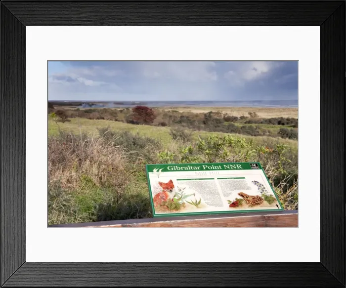 Framed Print : Gibraltar Point - National Naure Reserve - Lincolnshire - UK Framed Print : Gibraltar Point - National Naure Reserve - Lincolnshire - UK