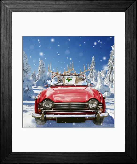 Framed Print : Picture No. 10901257 Framed Print : Picture No. 10901257