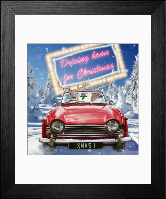 Framed Print : Picture No. 10901258 Framed Print : Picture No. 10901258