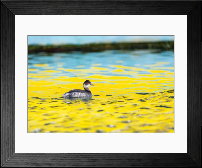 Framed Print : Picture No. 10901277 Framed Print : Picture No. 10901277