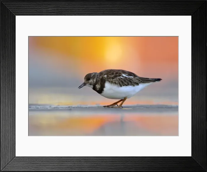 Framed Print : Picture No. 10901337 Framed Print : Picture No. 10901337