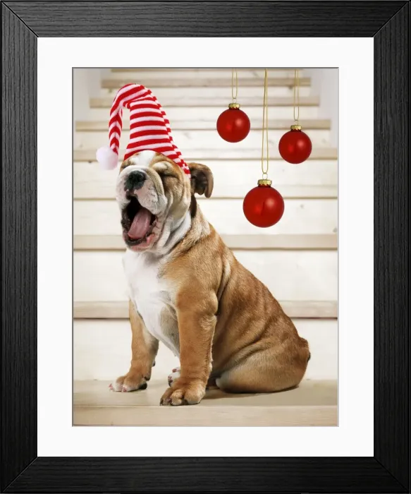 Framed Print : Picture No. 10901717 Framed Print : Picture No. 10901717