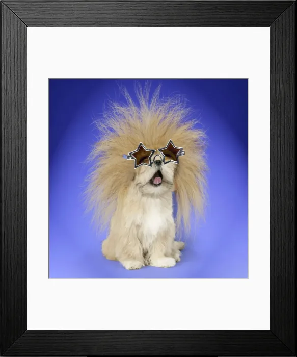 Framed Print : Picture No. 10901944 Framed Print : Picture No. 10901944