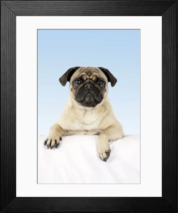 Framed Print : Picture No. 10900034 Framed Print : Picture No. 10900034