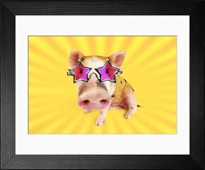 Framed Print : Picture No. 10901763 Framed Print : Picture No. 10901763