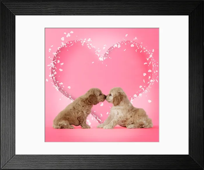 Framed Print : Picture No. 10901725 Framed Print : Picture No. 10901725