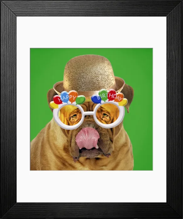 Framed Print : Picture No. 10901727 Framed Print : Picture No. 10901727
