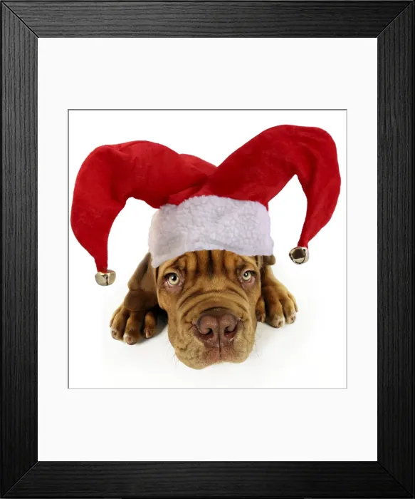 Framed Print : Picture No. 10901728 Framed Print : Picture No. 10901728
