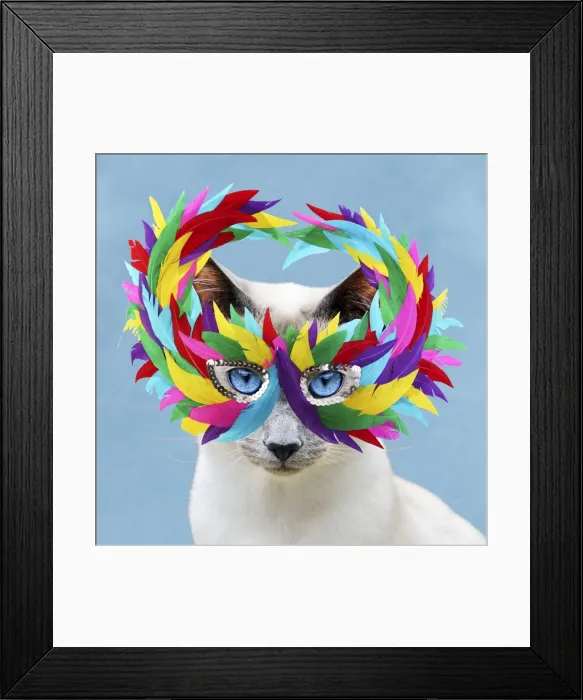 Framed Print : Picture No. 10901730 Framed Print : Picture No. 10901730
