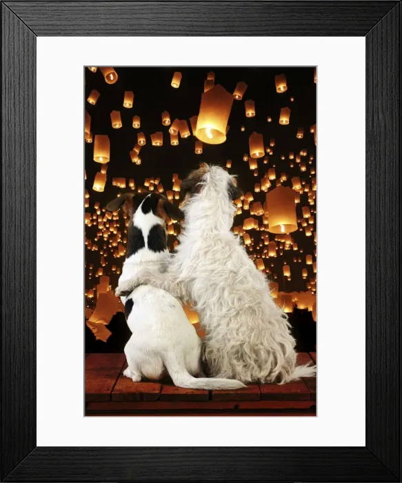 Framed Print : Picture No. 10900273 Framed Print : Picture No. 10900273