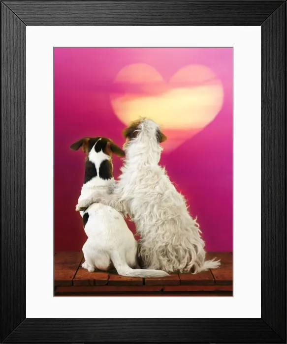 Framed Print : Picture No. 10922657 Framed Print : Picture No. 10922657