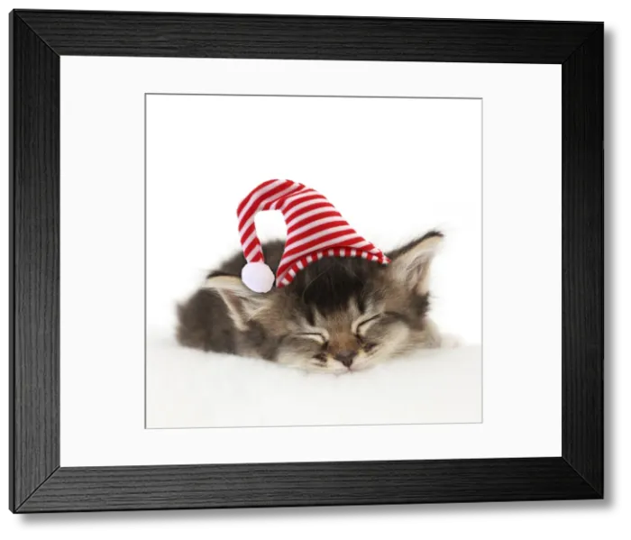 Framed Print : Picture No. 10901733 Framed Print : Picture No. 10901733