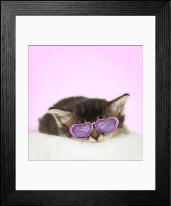 Framed Print : Picture No. 10922658