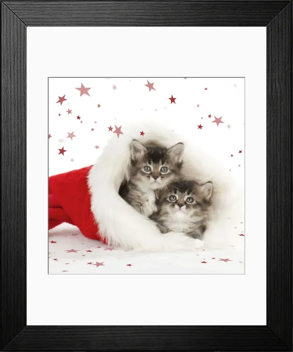 Framed Print : Picture No. 10901734 Framed Print : Picture No. 10901734