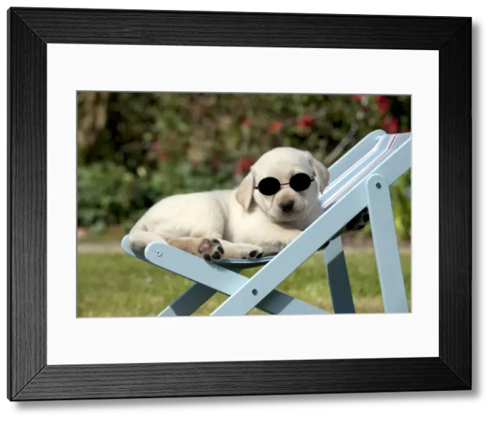 Framed Print : Picture No. 10900031 Framed Print : Picture No. 10900031