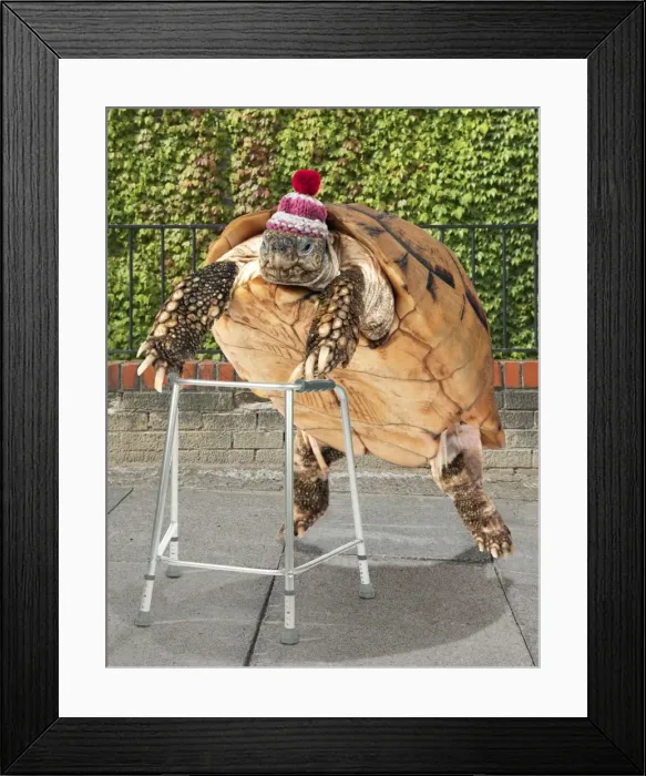 Framed Print : Picture No. 10901765