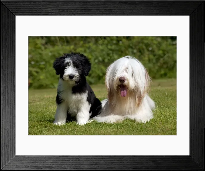Framed Print : Picture No. 10922546 Framed Print : Picture No. 10922546