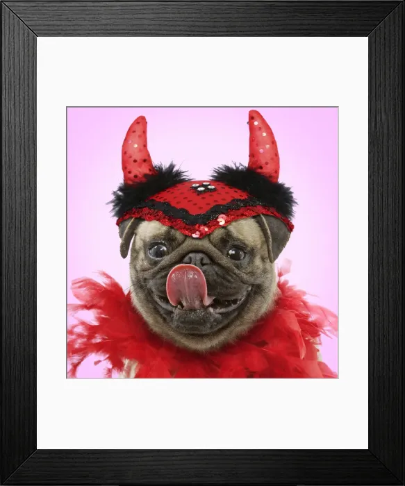 Framed Print : Picture No. 10901744 Framed Print : Picture No. 10901744