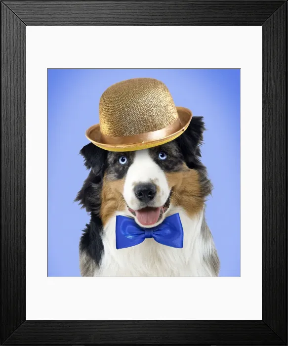 Framed Print : Picture No. 10901745 Framed Print : Picture No. 10901745