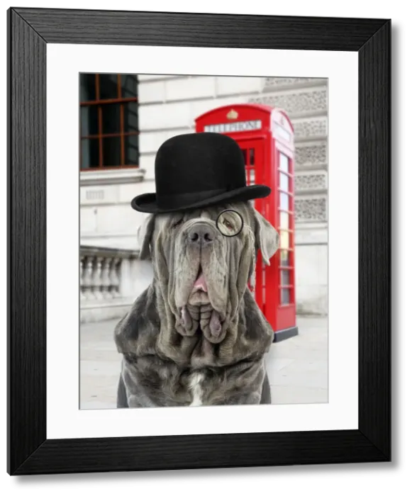 Framed Print : Picture No. 10901945
