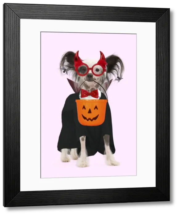 Framed Print : Picture No. 10900269 Framed Print : Picture No. 10900269