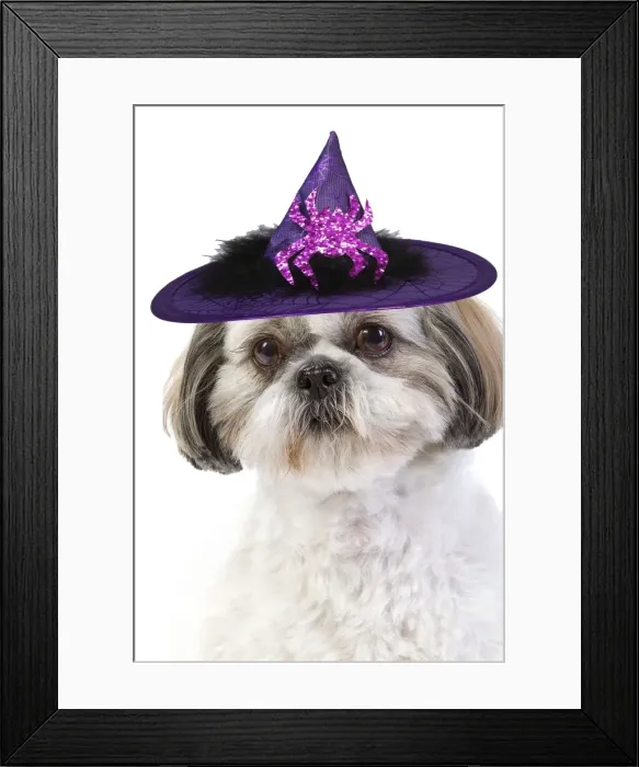 Framed Print : Picture No. 10901751 Framed Print : Picture No. 10901751