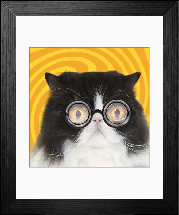Framed Print : Picture No. 10901723 Framed Print : Picture No. 10901723