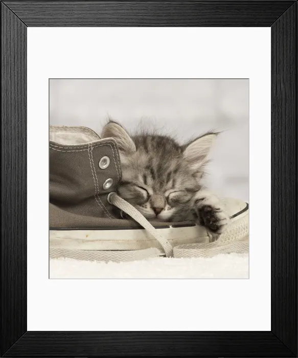Framed Print : Picture No. 10901739 Framed Print : Picture No. 10901739