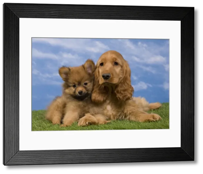 Framed Print : Picture No. 10922396 Framed Print : Picture No. 10922396