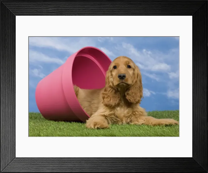 Framed Print : Picture No. 10922401 Framed Print : Picture No. 10922401