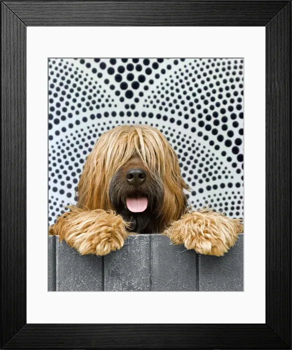 Framed Print : Picture No. 10922415 Framed Print : Picture No. 10922415