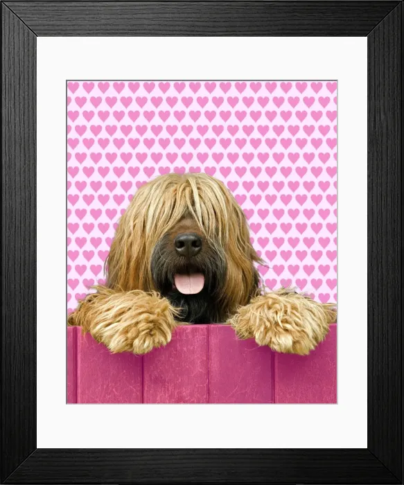 Framed Print : Picture No. 10922417 Framed Print : Picture No. 10922417