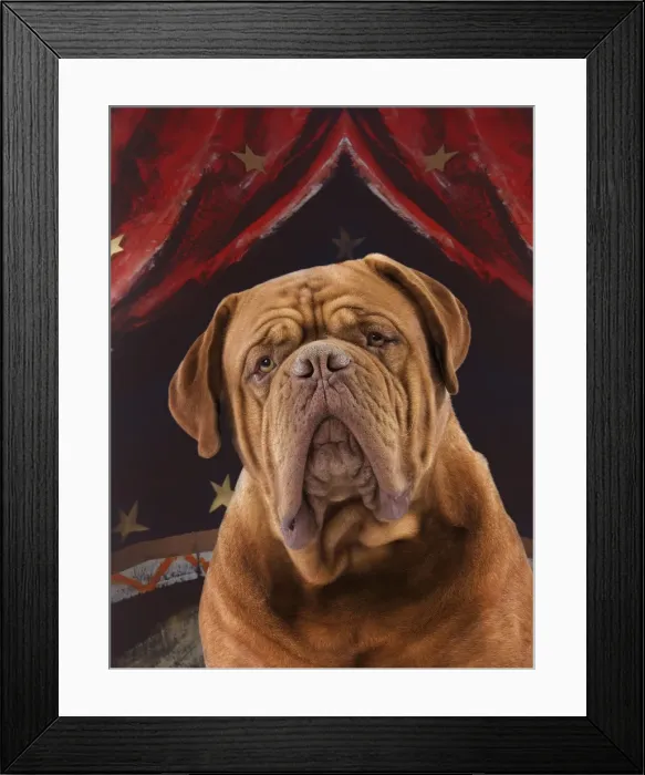 Framed Print : Picture No. 10922452 Framed Print : Picture No. 10922452