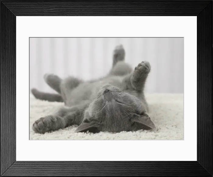 Framed Print : Picture No. 10922475 Framed Print : Picture No. 10922475