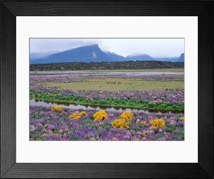 Framed Print : Picture No. 10909379 Framed Print : Picture No. 10909379