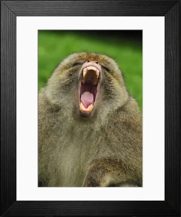 Framed Print : Picture No. 10909483 Framed Print : Picture No. 10909483