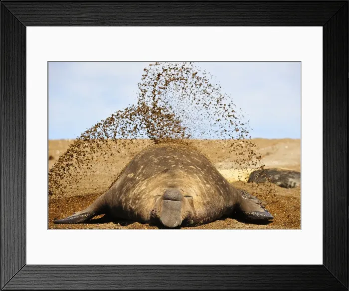 Framed Print : Picture No. 10901514 Framed Print : Picture No. 10901514