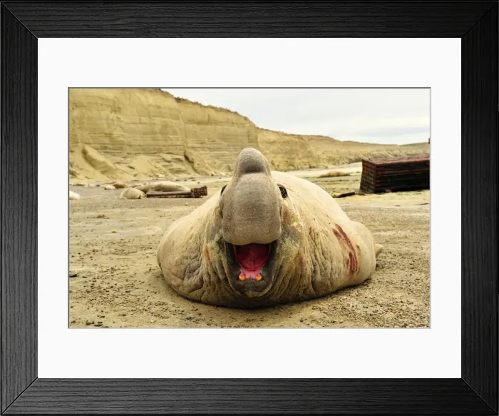 Framed Print : Picture No. 10901526 Framed Print : Picture No. 10901526
